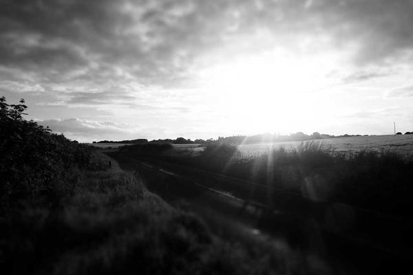 Ionic Media event organization